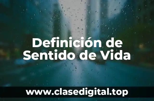 Definición de Sentido de Vida