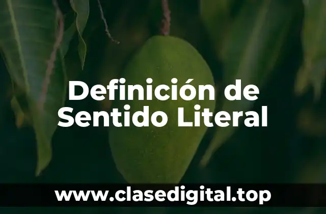 Definición técnica de Sentido Literal