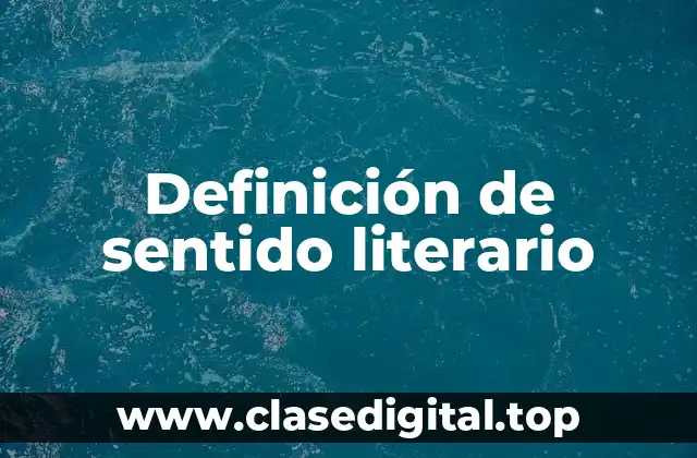Definición técnica de sentido literario