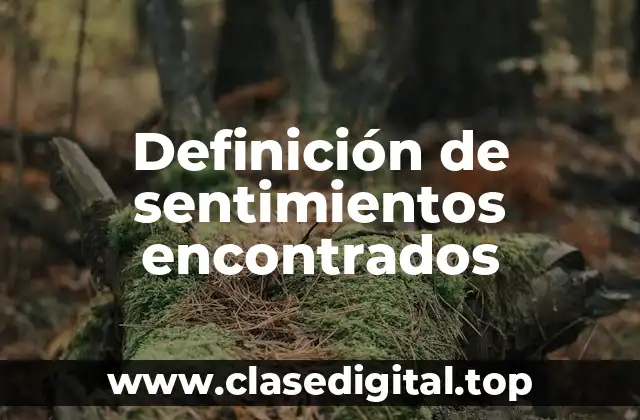 Definición de sentimientos encontrados