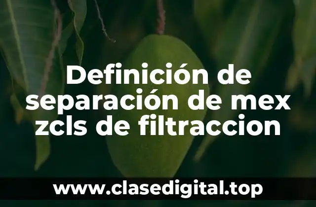 Definición de separación de mex zcls de filtraccion