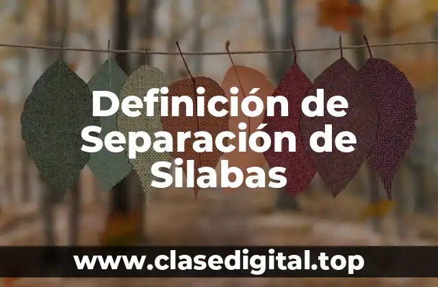 Definición de Separación de Silabas