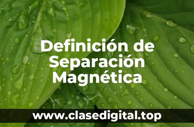 Definición de Separación Magnética