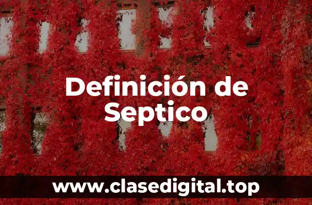 Definición de Septico