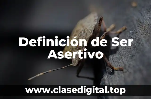 Definición de Ser Asertivo