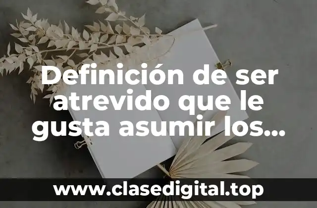Definición de ser atrevido que le gusta asumir los riesgos