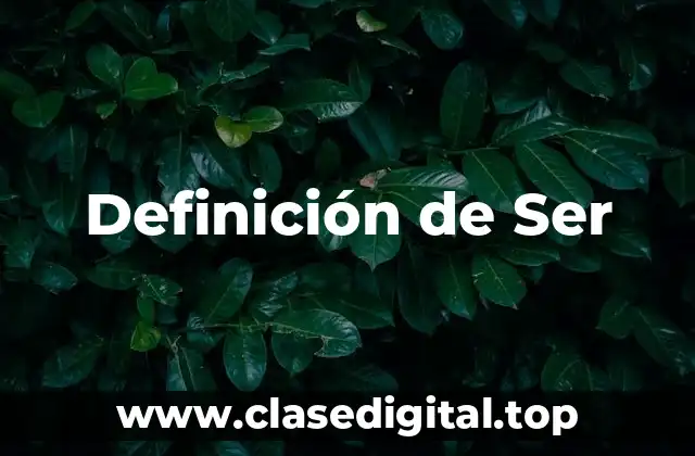 Definición técnica de Ser