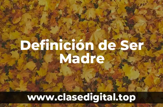 Definición de Ser Madre