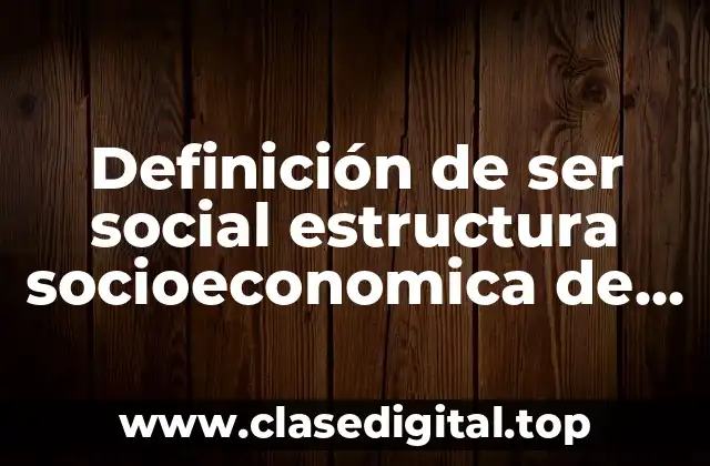 Definición de ser social estructura socioeconomica de México