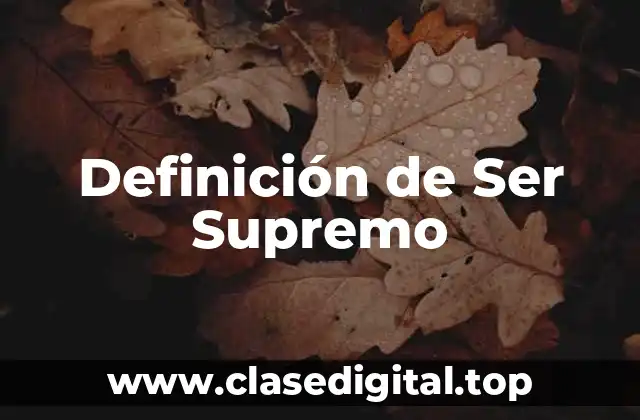 Definición de Ser Supremo