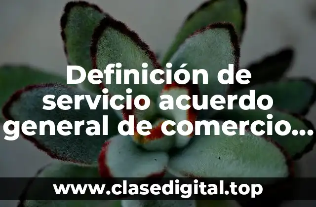 Definición de servicio acuerdo general de comercio de servicios