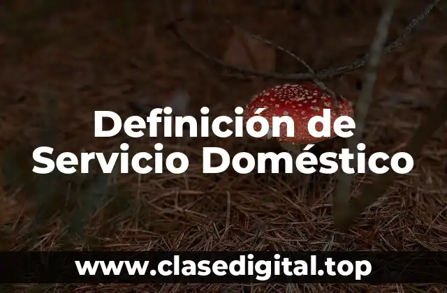 Definición de Servicio Doméstico