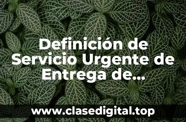 Definición de Servicio Urgente de Entrega de Contenedores