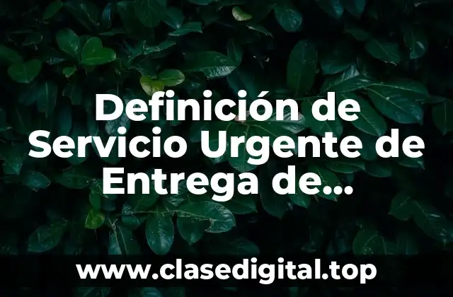Definición de Servicio Urgente de Entrega de Mercancía
