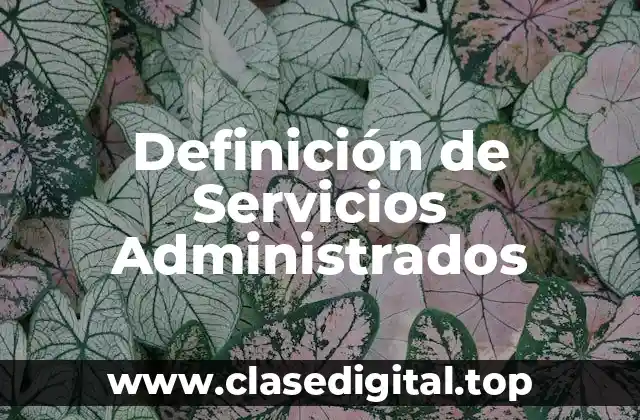 Definición de Servicios Administrados
