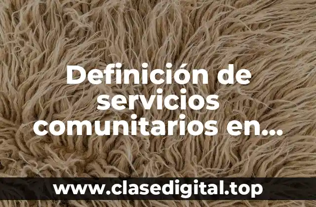 Definición de servicios comunitarios en Estados Unidos