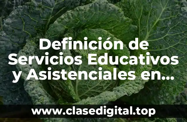 Definición de Servicios Educativos y Asistenciales en México