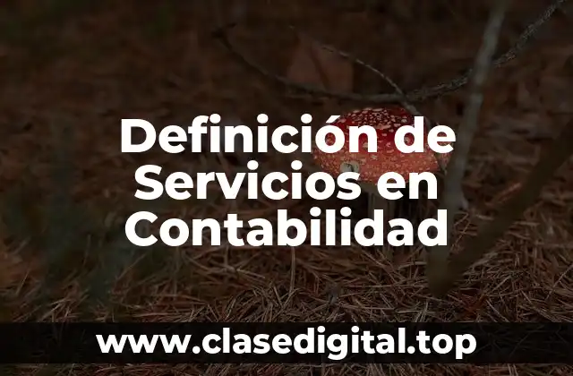 Definición técnica de Servicios en Contabilidad