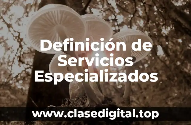 Definición técnica de Servicios Especializados