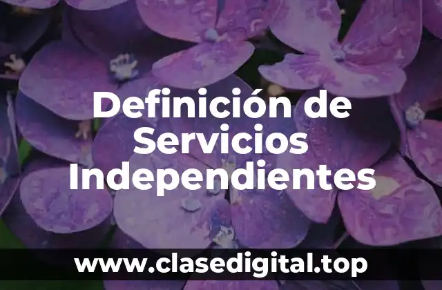 Definición de Servicios Independientes