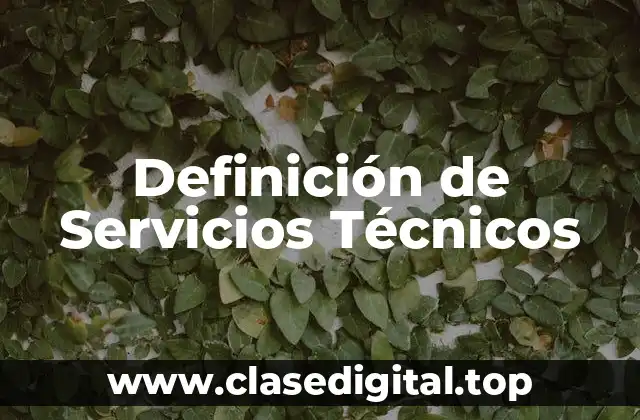 Definición de Servicios Técnicos