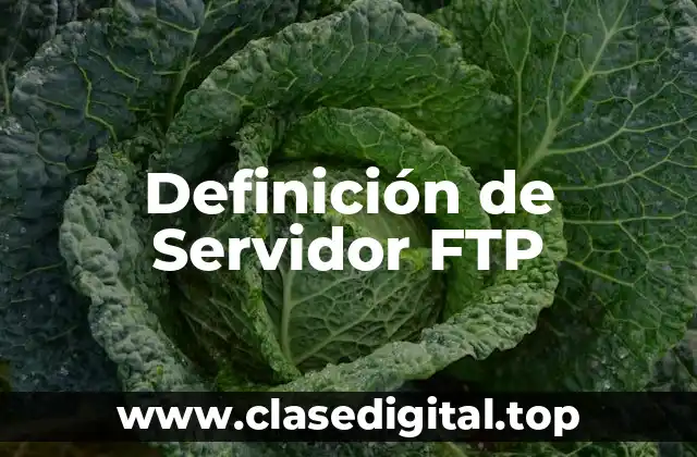 Definición de Servidor FTP