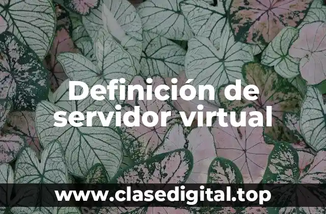 Definición de servidor virtual