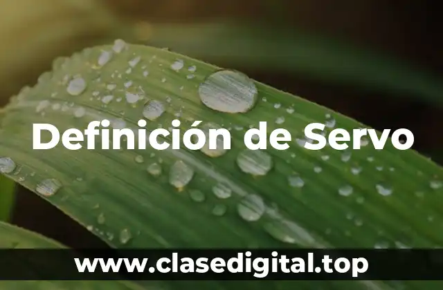 Definición de Servo
