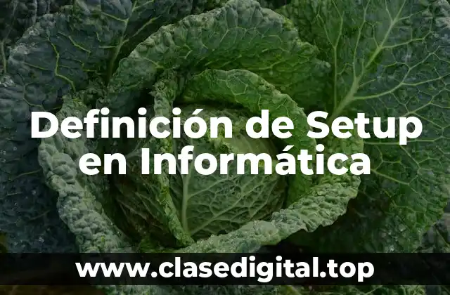Definición de Setup en Informática