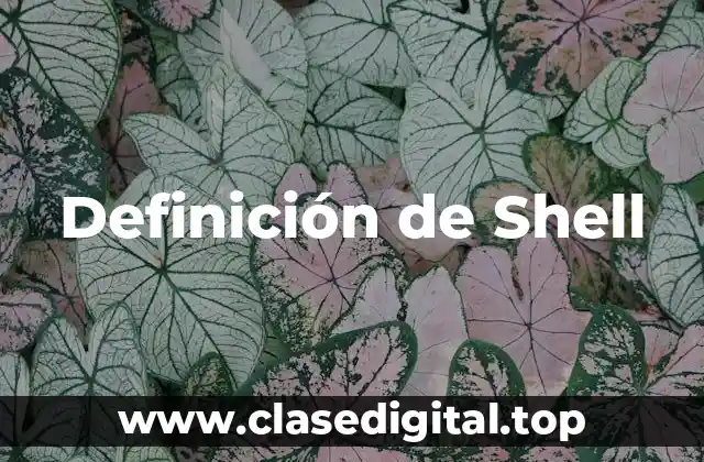 Definición de Shell