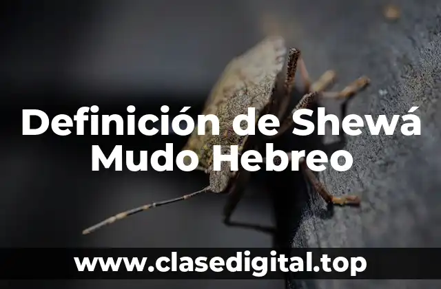 Definición técnica de Shewá Mudo Hebreo