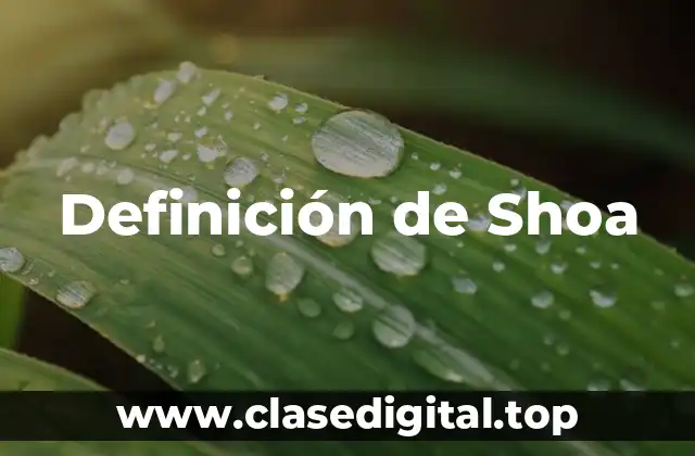 Definición de Shoa