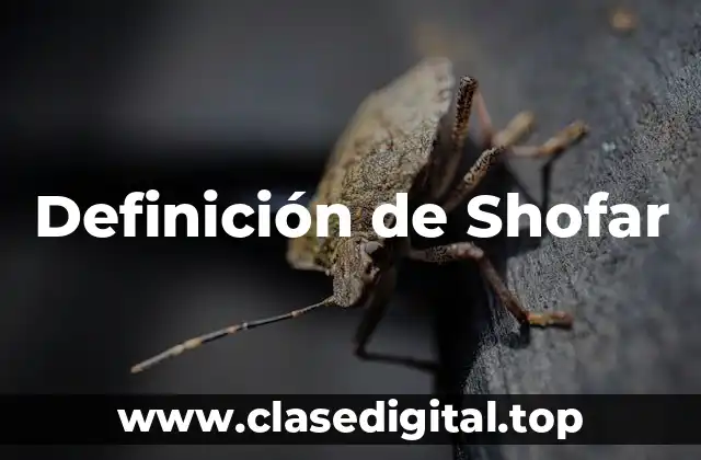 Definición de Shofar