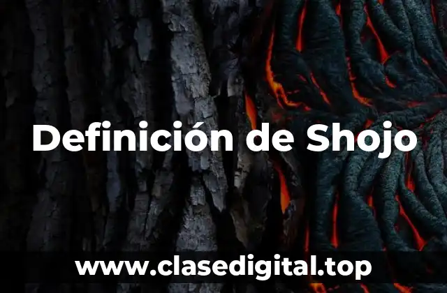 Definición de Shojo