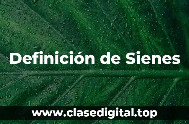 Definición de Sienes