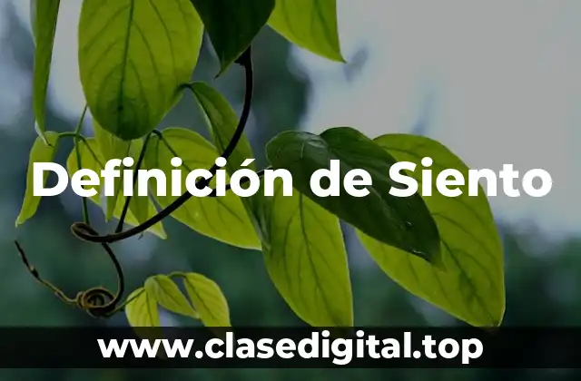 Definición de Siento