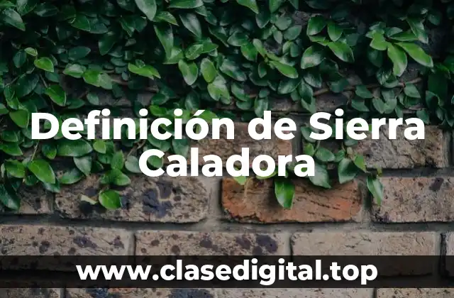 Definición de Sierra Caladora
