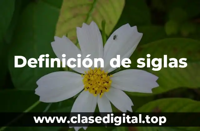 Definición de siglas