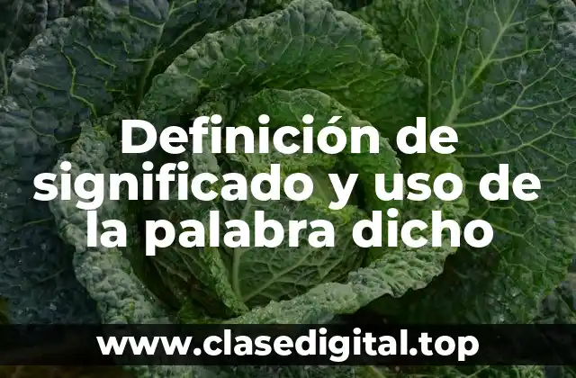 Definición de significado y uso de la palabra dicho