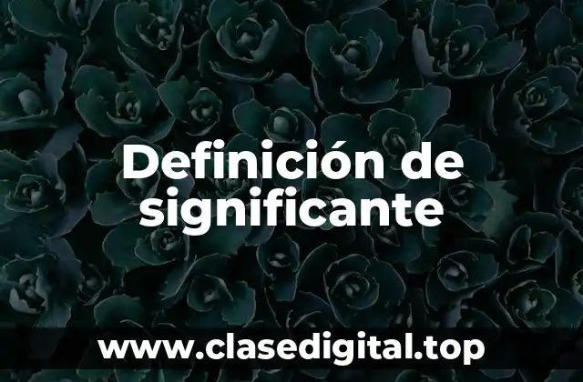 Definición técnica de significante