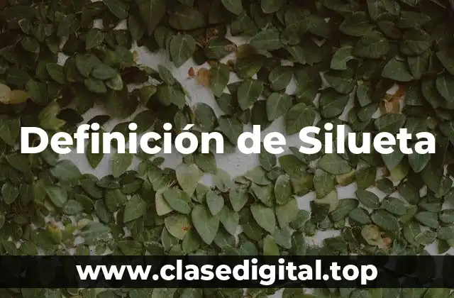 Definición de Silueta