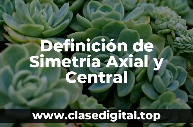 Definición de Simetría Axial y Central