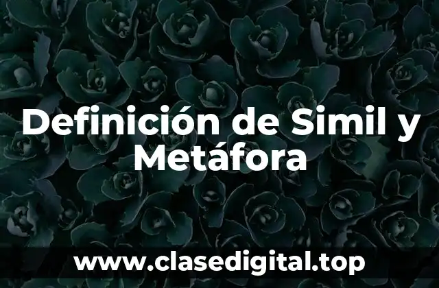 Definición de Simil y Metáfora