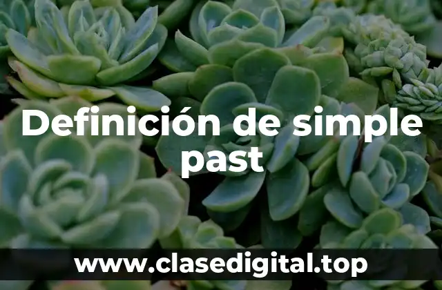 Definición de simple past
