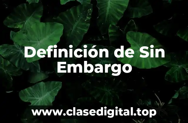 Definición de Sin Embargo