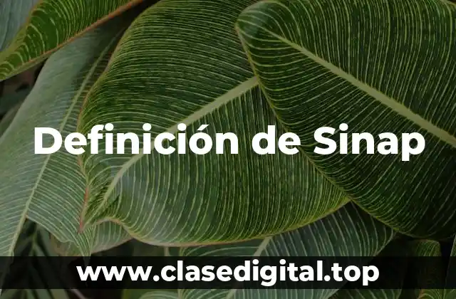 Definición de Sinap