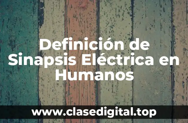 Definición de Sinapsis Eléctrica en Humanos