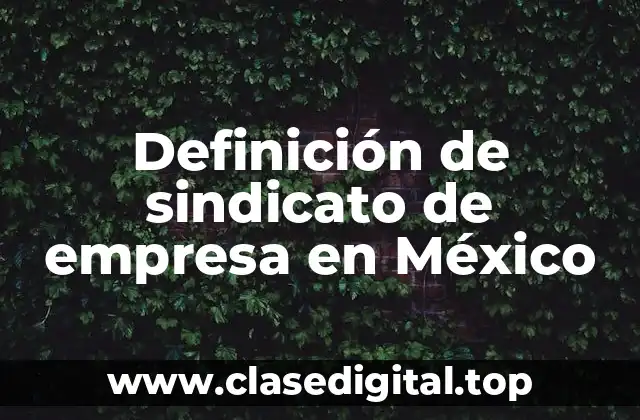 Definición de sindicato de empresa en México