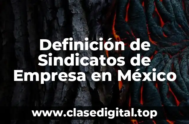Definición de Sindicatos de Empresa en México