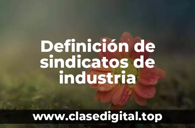 Definición de sindicatos de industria